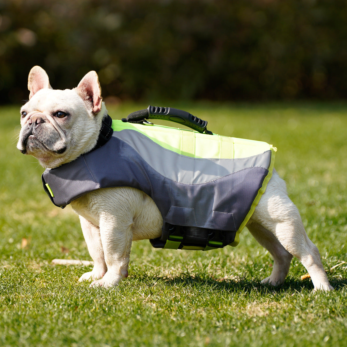 Make a Splash with Our Reflective Pet Swimsuit Life Jacket