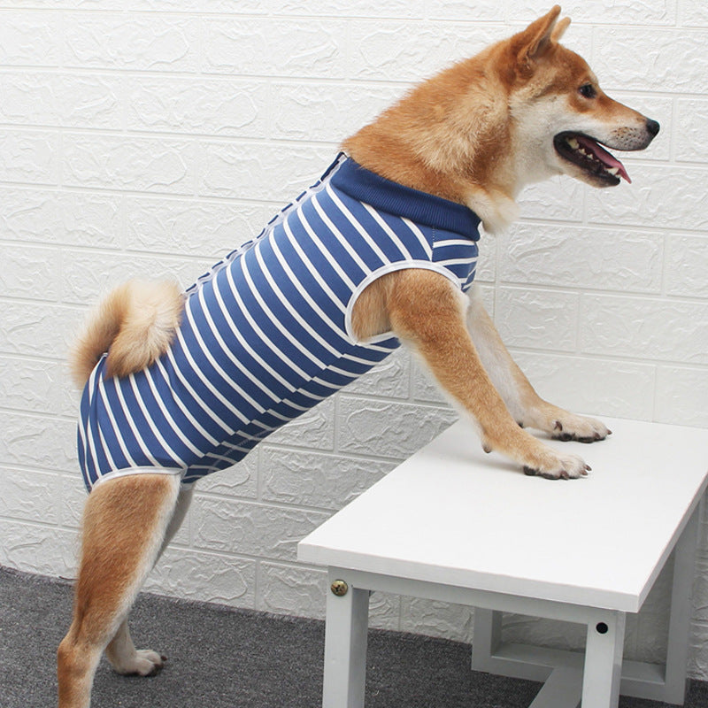 Fashionable Multicolor Pet Clothing: The Perfect Blend of Style and Comfort