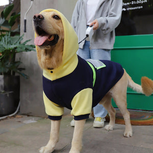 Why Your Pet Deserves the Best: Introducing the Large Pet Sweater Warm Clothing